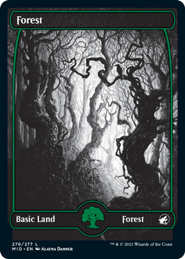 Forest - Innistrad: Midnight Hunt #276