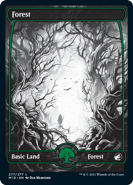 Forest - Innistrad: Midnight Hunt #277