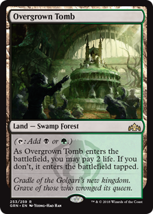 Overgrown Tomb - Guilds of Ravnica #253